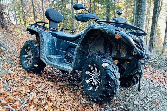 1 Day ATV Tour in Carpathian Mountains - Price and value: what $228.29 really covers