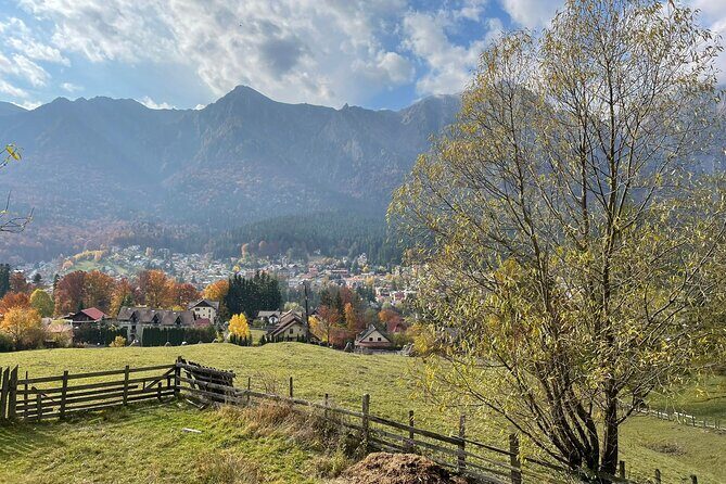 1 Day ATV Tour in Carpathian Mountains - Timing that fits a full-day rhythm