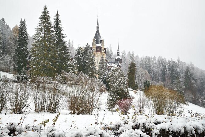 1 Day Castles Tour - Sinaia and Bran - Group size and pace: staying comfortable during 10–11 hours