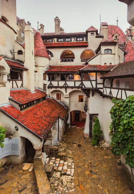 3 Castle Bucharest: Dracula Castle, Wednesday & Peles Castle - Who Should Book This Tour (And Who Might Prefer Something Else)