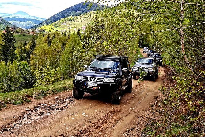 4x4 Nature Tour in Land of Dracula - 1 day - Bran Castle time: free wandering, optional ticket, and what to do with it