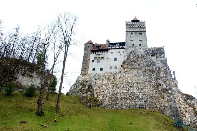 Bear Sanctuary and Bran Castle from Brasov - A Half-Day That Mixes Rescue Stories and Dracula Legends