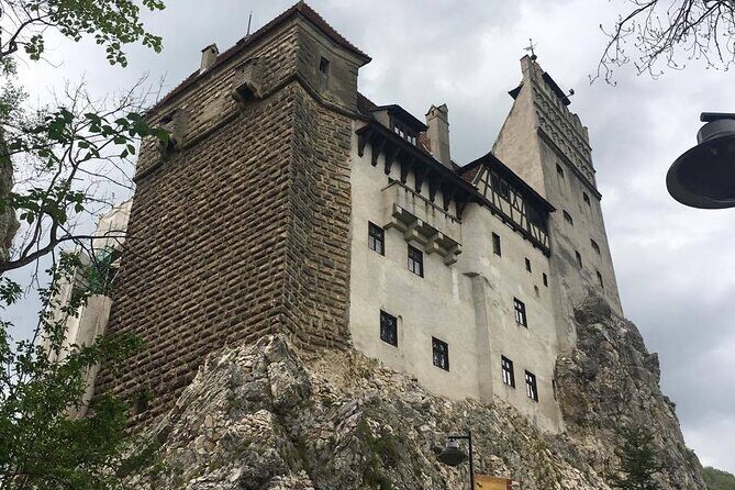 Bear Sanctuary and Bran Castle from Brasov - Bran Castle: How to See Dracula’s Castle Without Losing Your Mind