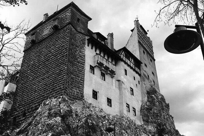 Bear Sanctuary and Bran Castle from Brasov - The Guide Factor: Why Alin’s Style Keeps Coming Up