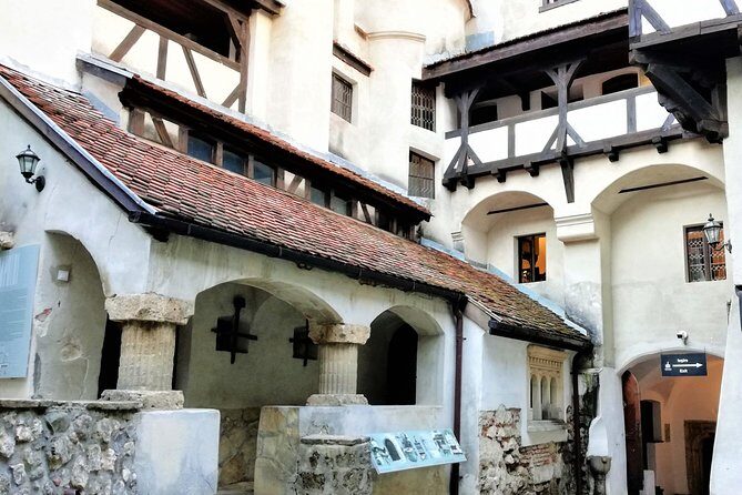 Bear Sanctuary and Dracula's Castle, 1-day Private Tour - The Drive and Your Guide: How the Day Feels from the Inside