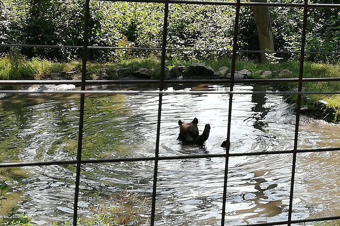Bear Sanctuary and Dracula's Castle, 1-day Private Tour - Price and Value: Is $276 Worth It for a Full 11–13 Hours?