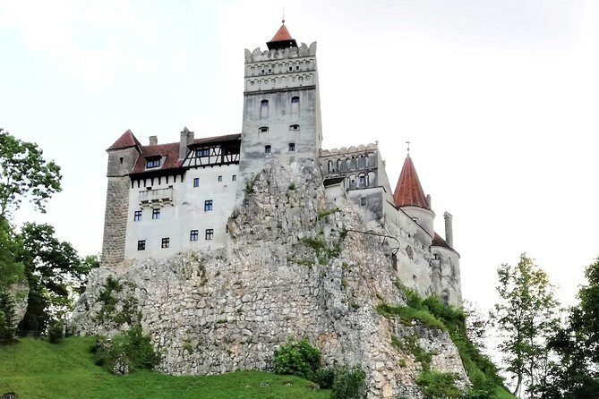 Bear Sanctuary and Dracula's Castle, 1-day Private Tour - What to Pack (and What to Skip) for Bears and Bran