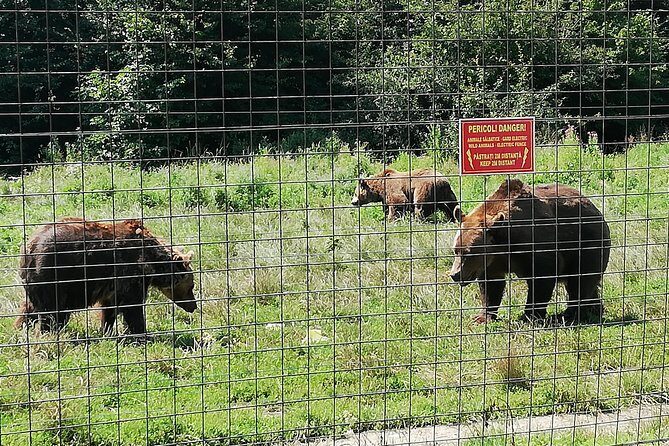 Bear Sanctuary and Dracula's Castle, 1-day Private Tour - Should You Book This Bear Sanctuary and Dracula’s Castle Tour?