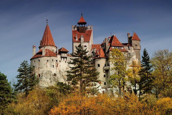 Bear Sanctuary, Bran (Dracula) Castle, Peles Castle From Brasov - Brasov Pickup That Sets the Pace for the Whole Day