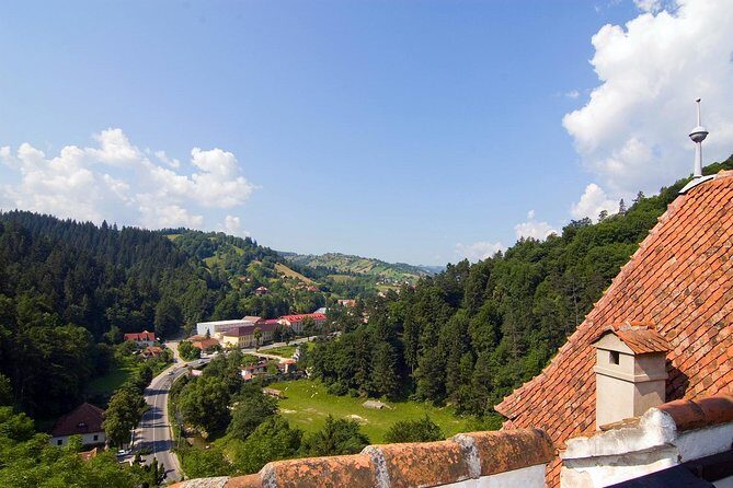 Bear Sanctuary, Bran (Dracula) Castle, Peles Castle From Brasov - Group Size and Guide Style: Why It Feels Less Like a “Cram Tour”