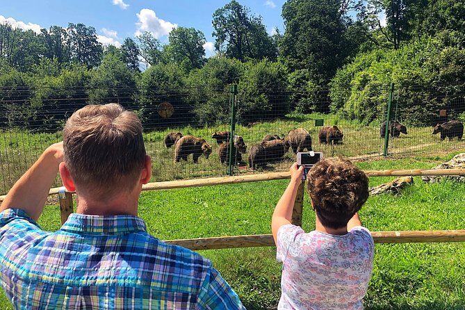 Bear Sanctuary, Bran (Dracula) Castle, Peles Castle From Brasov - Stop 2: Bran Castle Without the Confusion