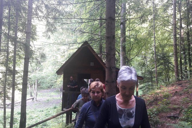 Bear Watching in The Wild from Brasov (100 %) - What to Wear (and What Not to Do) for Safe, Bear-Friendly Viewing