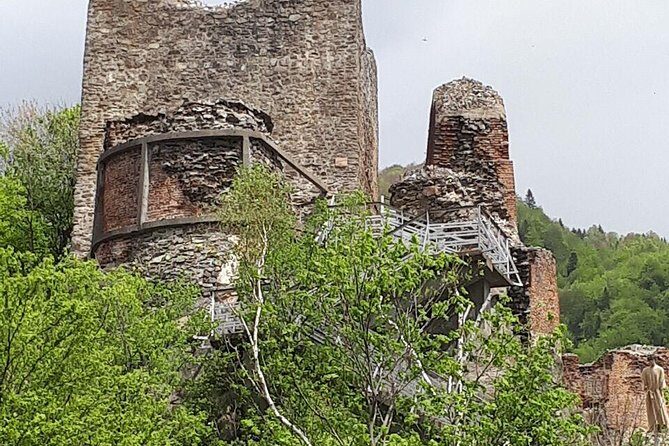 Bears Sanctuary, Dracula's Castle, Brasov Day Trip Private Tour from Bucharest - Flexibility During the Day: When Extras Might Appear