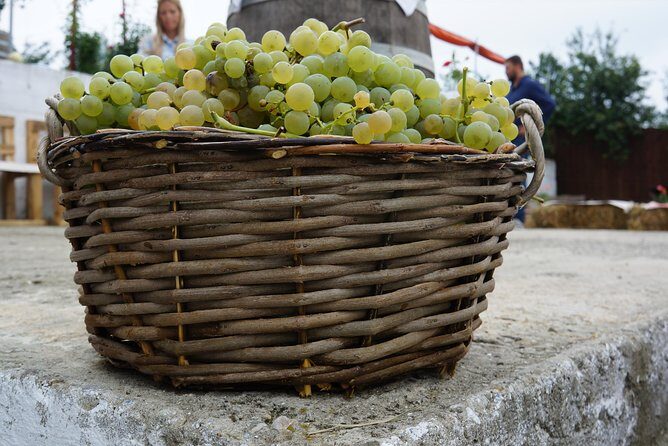 Bike & Wine tour in Dealu Mare wineland - Conacul Bellu: a manor stop with actual Romanian context
