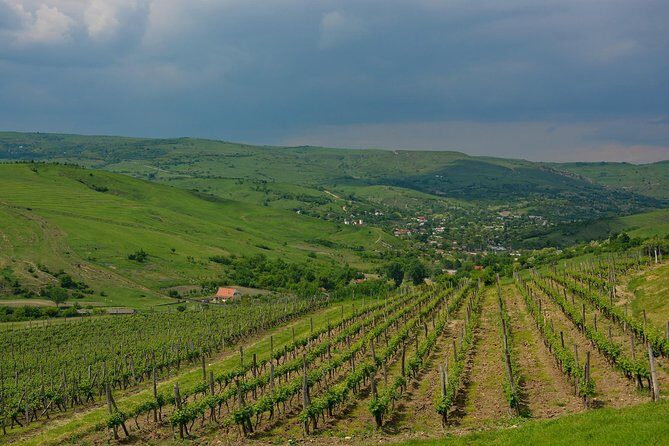 Bike & Wine tour in Dealu Mare wineland - What’s included vs what costs extra (so you don’t get surprised)