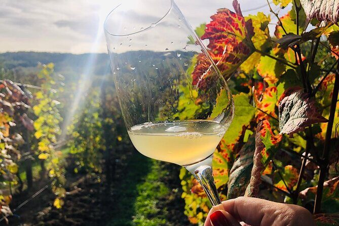 Bike & Wine tour in Dealu Mare wineland - The ride itself: what “safe” and “guided” means here