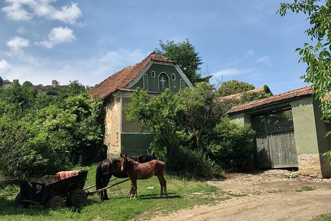 Bran and Rasnov Castles Tour from Brasov - Should You Book This Bran and Râșnov Tour?