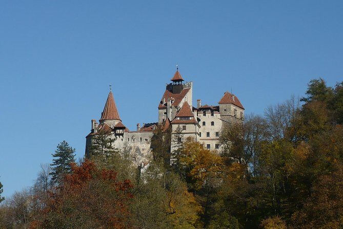 Bran Castle and more options private tour from Brasov - Key reasons this private Bran Castle tour works