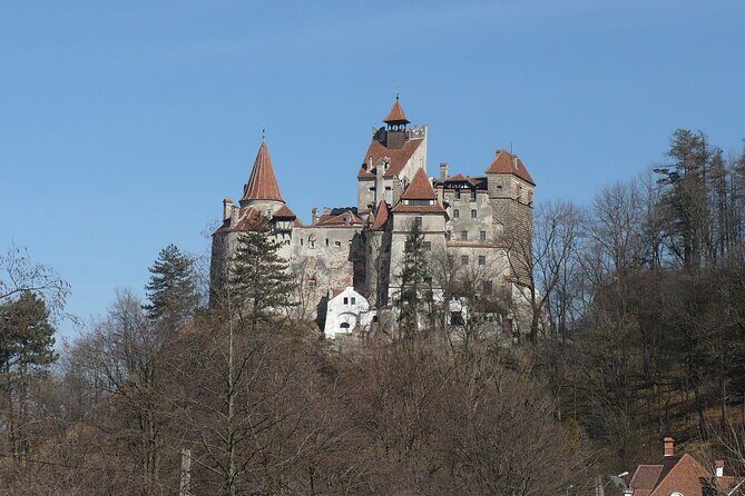 Bran Castle and more options private tour from Brasov - Cristian Fortified Church: the quiet side of Saxon defense