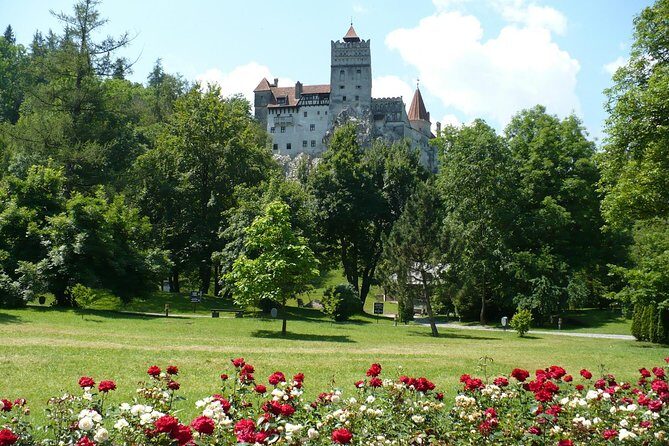 Bran Castle and more options private tour from Brasov - Stop 1: Liberty Bear Sanctuary in Zărnești