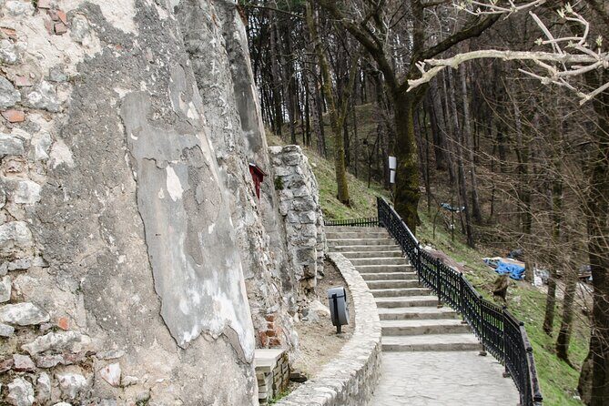Bran Castle, Bear Sanctuary, and Rasnov Fortress Half Day Tour - The smart way to plan a Transylvania half-day from Brașov