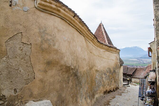 Bran Castle, Bear Sanctuary, and Rasnov Fortress Half Day Tour - Transportation style: what it feels like on the road