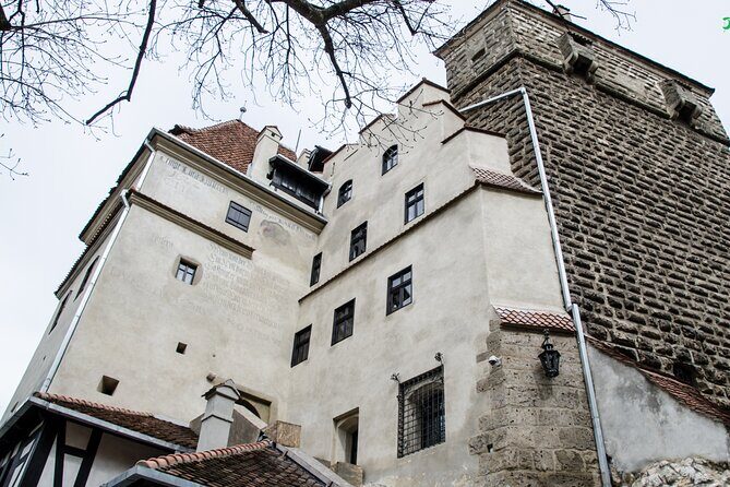 Bran Castle, Bear Sanctuary, and Rasnov Fortress Half Day Tour - Stop 1: Libearty Bear Sanctuary in Zărnești (3 hours)