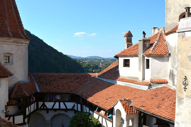 Bran Castle Entry Tickets - Practical value check: how to decide if it’s worth the premium
