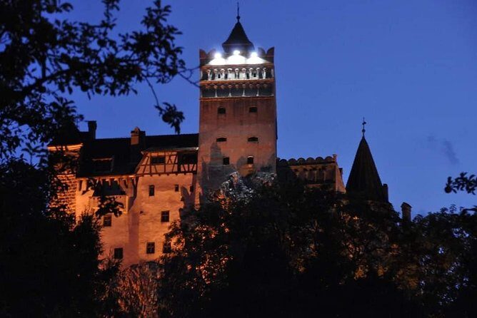 Brasov: Bear Sanctuary, Bran Castle & Rasnov Fortress GUIDED Tour - First stop: Liberty Bear Sanctuary in the forest near Piatra Craiului