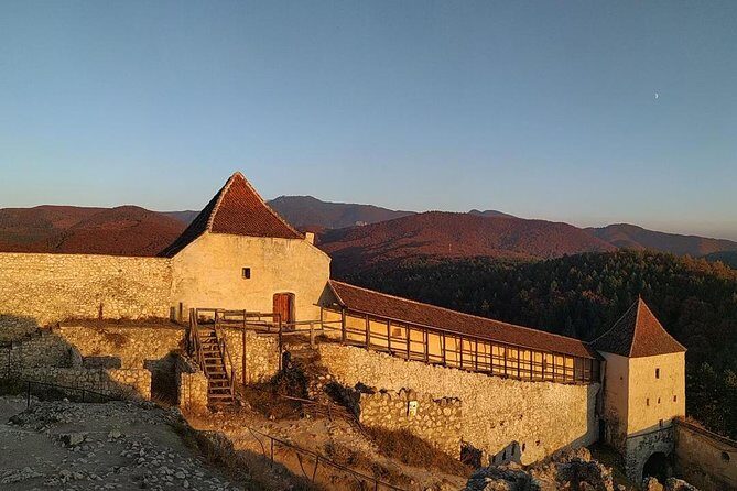 Brasov: Bear Sanctuary, Bran Castle & Rasnov Fortress GUIDED Tour - The 8-hour flow from Brașov: where timing actually helps you
