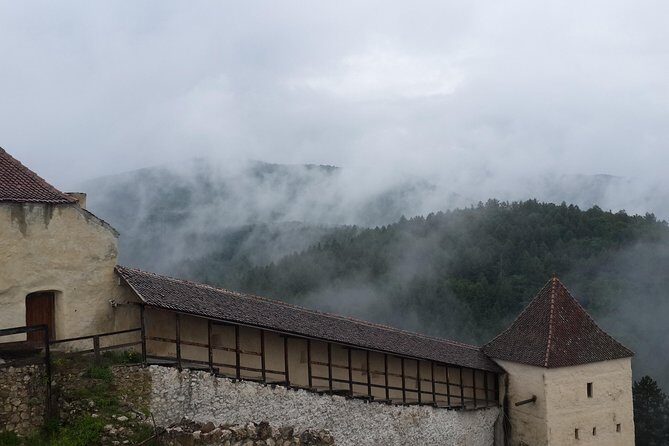 Brasov: Bear Sanctuary, Bran Castle & Rasnov Fortress GUIDED Tour - What to pack and how to prepare for a mixed emotions day