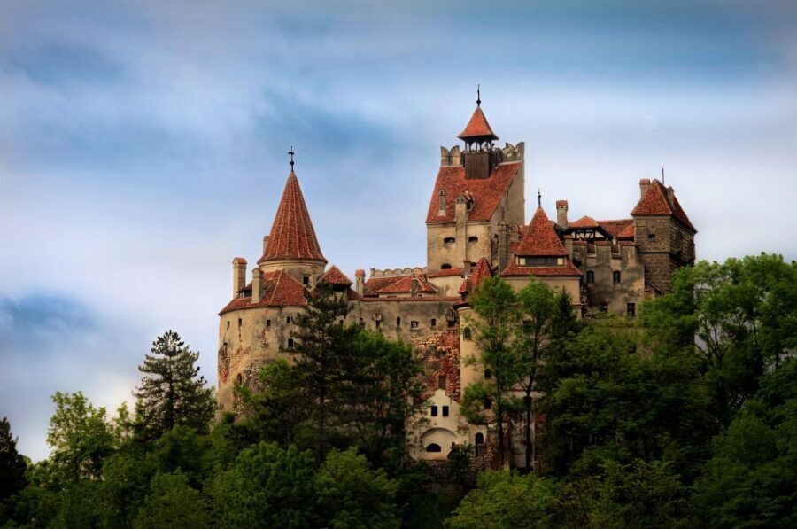 Brasov: Bear Sanctuary, Dracula Castle, and Râşnov Fortress - Key highlights you’ll care about