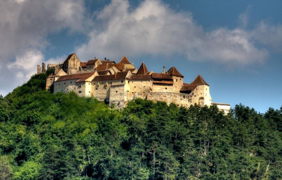 Brasov: Bear Sanctuary, Dracula Castle, and Râşnov Fortress - Libearty Bear Sanctuary Near Zărnești: Real Bears, Real Rescue Stories