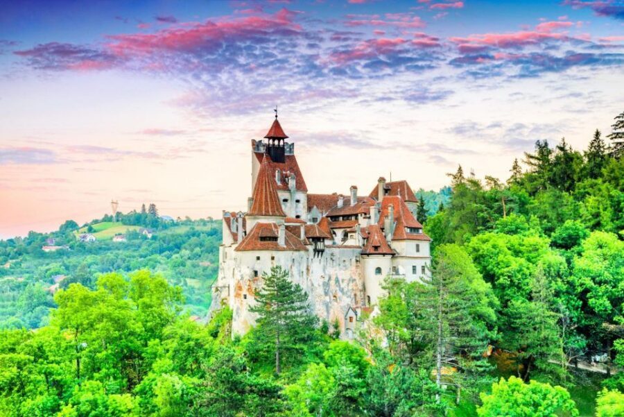 Brasov: Bear Sanctuary, Dracula Castle, and Râşnov Fortress - Who Should Book This Tour (and Who Might Skip It)