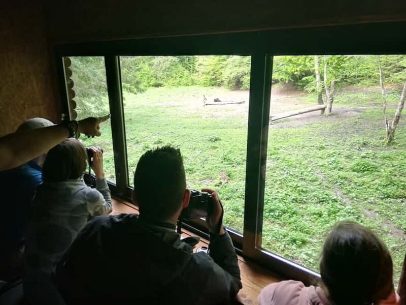 Brasov: Brown Bear & Wildlife Watching - Timing and Safety: Why You Leave Before It Gets Dark
