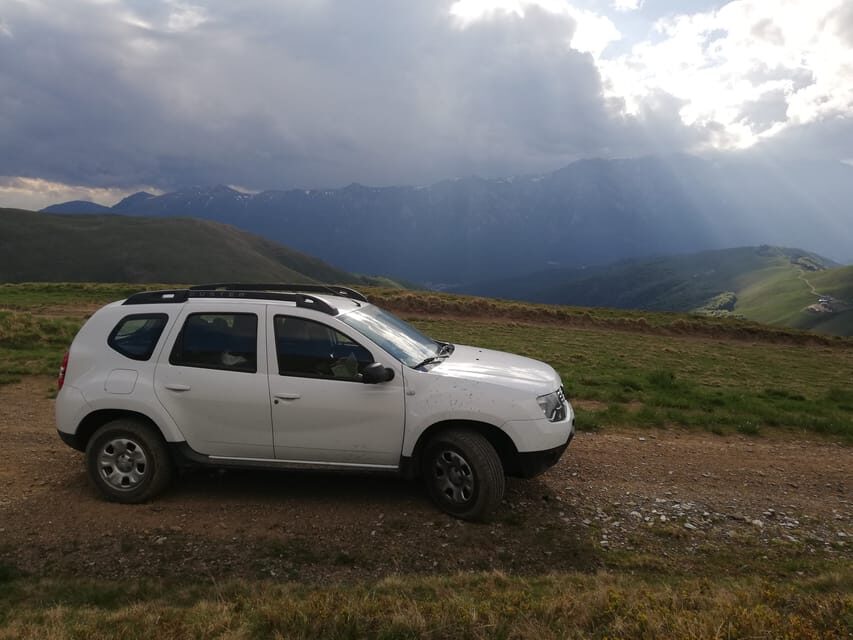 Brasov: Brown Bear & Wildlife Watching - Who This Tour Is Best For (and Who Should Skip It)