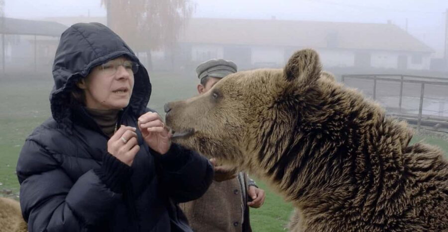 Brasov: Libearty Bear Sanctuary - A Safe Haven on the Edge of Brasov: Libearty at a Glance