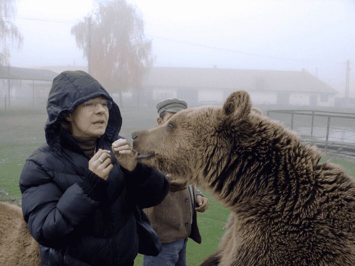 Brasov: Libearty Bear Sanctuary - Your 5-Hour Flow: From Ticket Purchase to Maya’s Memorial Area