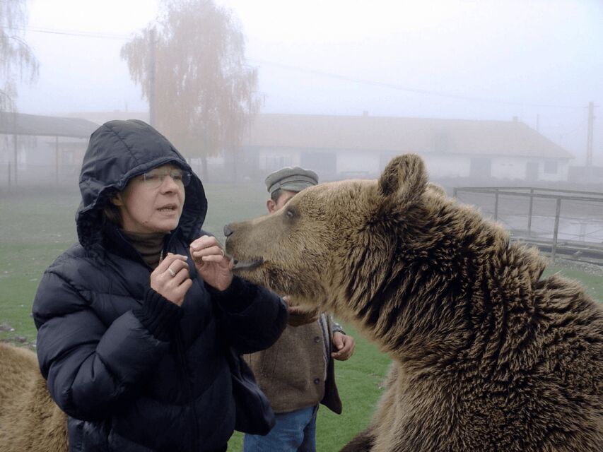 Brasov: Libearty Bear Sanctuary - Getting There by Bus: Pickup, Small Group, and the Timing Quirk
