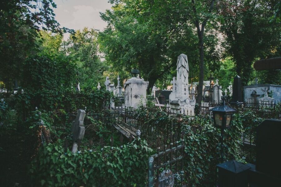 Bucharest: 3-Hour Dark History Tour with a Local - The Vampire of Bucharest: why context is everything