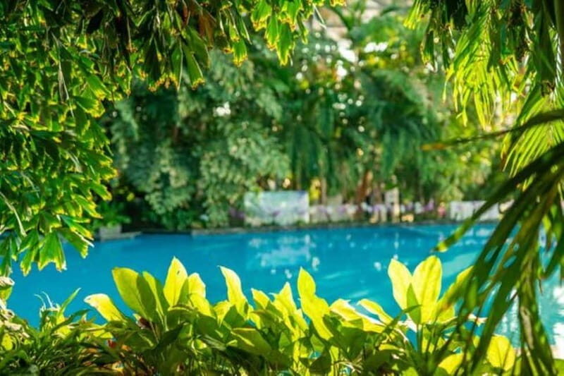 Bucharest: All Day Therme with Elysium Experience - What to Bring (and What Not to) for a Smooth Spa Day