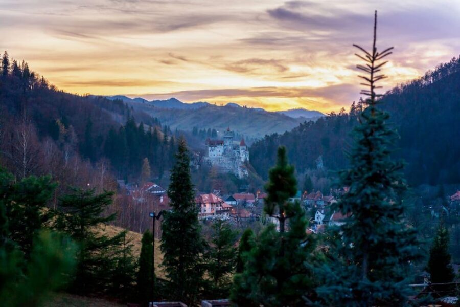 Bucharest: Bran Castle and Bear Sanctuary Small-Group Tour - Key highlights that make this tour worth your time
