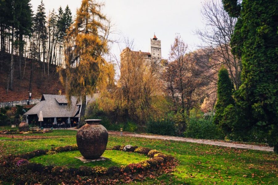 Bucharest: Bran Castle and Bear Sanctuary Small-Group Tour - Why this Bucharest to Transylvania day trip feels more personal