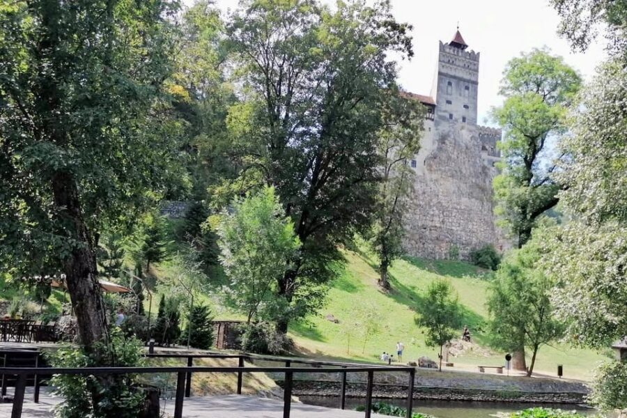Bucharest: Bran Castle and Bear Sanctuary Small-Group Tour - The guide experience: why English storytelling improves the whole day