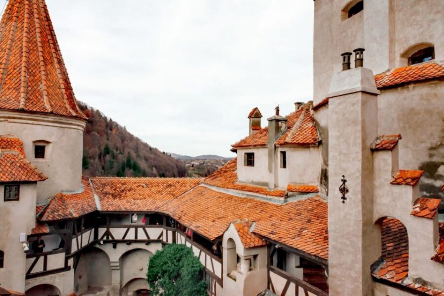 Bucharest: Bran Castle and Bear Sanctuary Small-Group Tour - Price and value: is $145 a fair deal for this day?