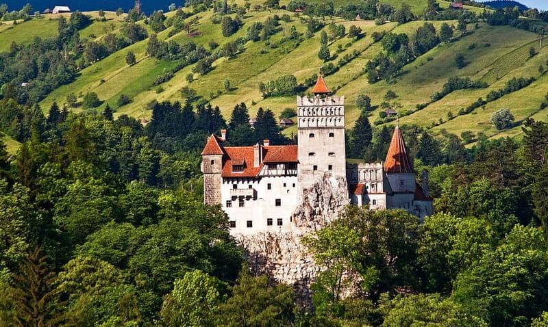 Bucharest: Day Trip to Bear Sanctuary, Bran Castle & Brasov - A 12-hour loop out of Bucharest: what makes the day work