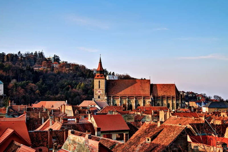 Bucharest: Day Trip to Bear Sanctuary, Bran Castle & Brasov - The Teddy Bear museum: a strange, memorable contrast