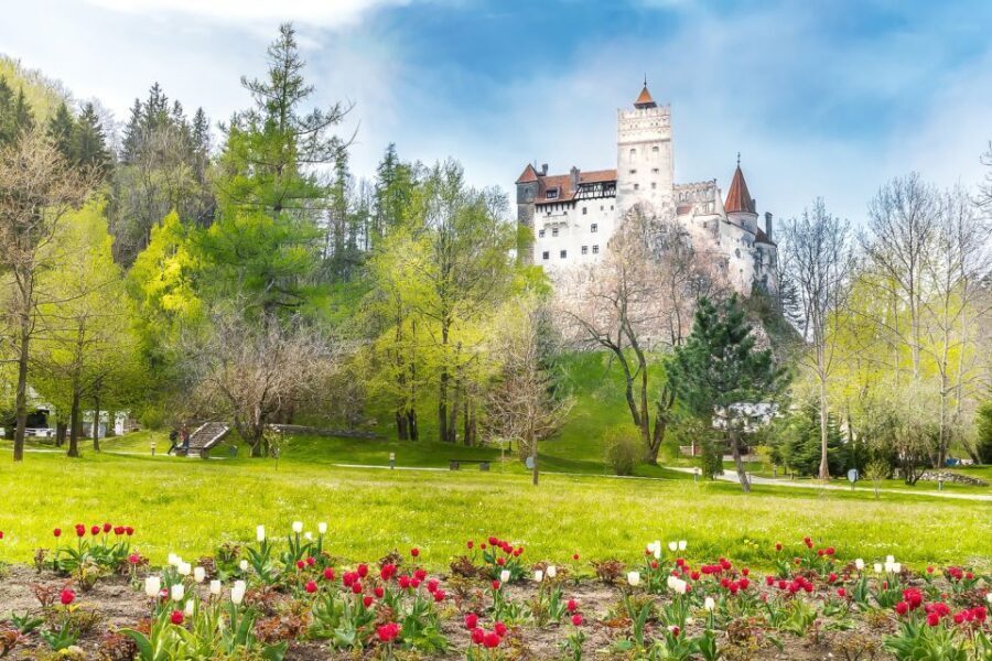 Bucharest: Day Trip to Dracula Castle, Peles Castle & Brașov - Bran Castle, Dracula’s Castle: Expect the Climb and the Crowds