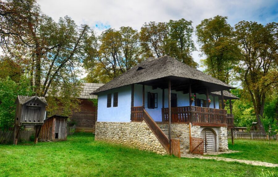 Bucharest: Half-Day Sightseeing Tour - Who should book this tour, and who should skip it