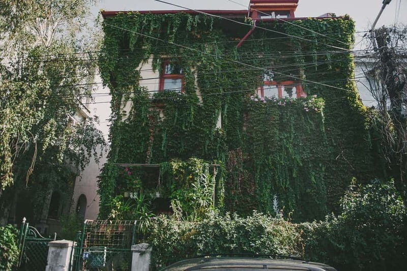 Bucharest: Hidden Gems 2.5-Hour Walking Tour - Casa Melik: a traditional peasant house with secrets and a cellar